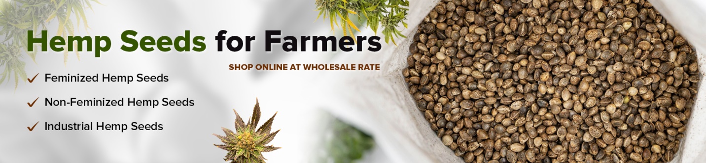 Feminized Hemp Seeds