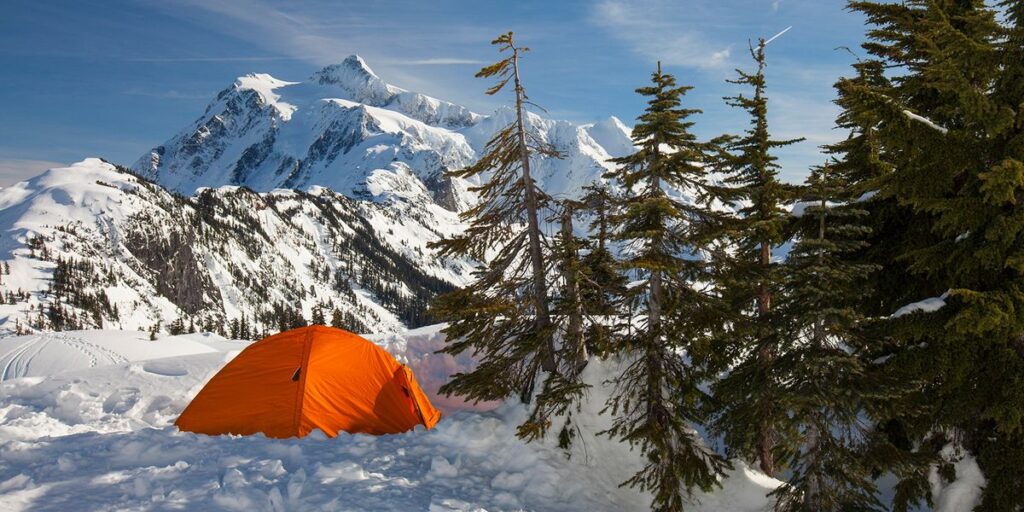 4 Season Tents Image
