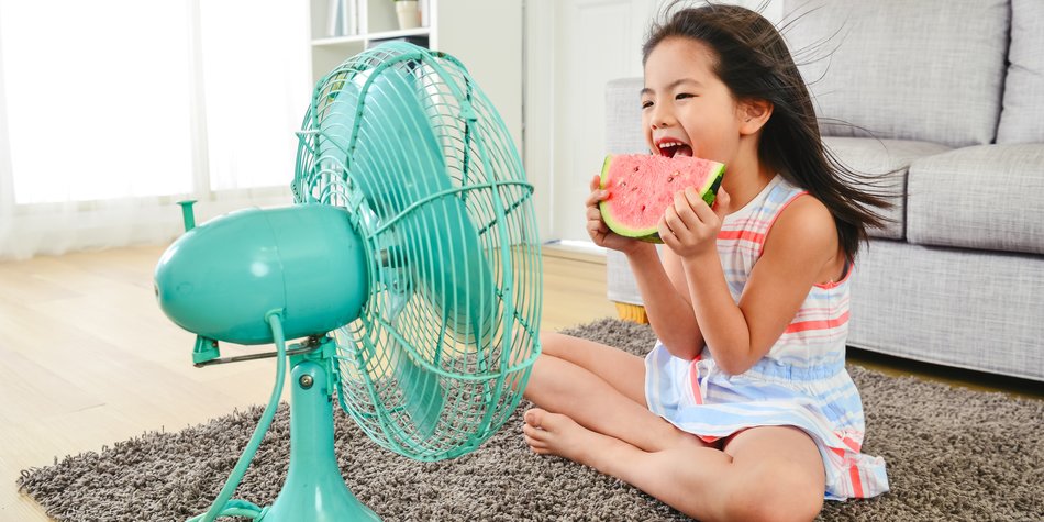 Beat the Heat without an Air Conditioner