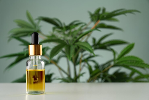 7 Most Popular Ways of Consuming CBD Orally + How Effective is it - dreamteampromos.com