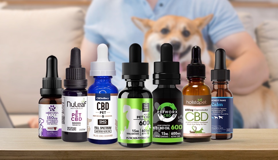 Does Giving your Dog CBD Oil Work to Treat Pain Management?