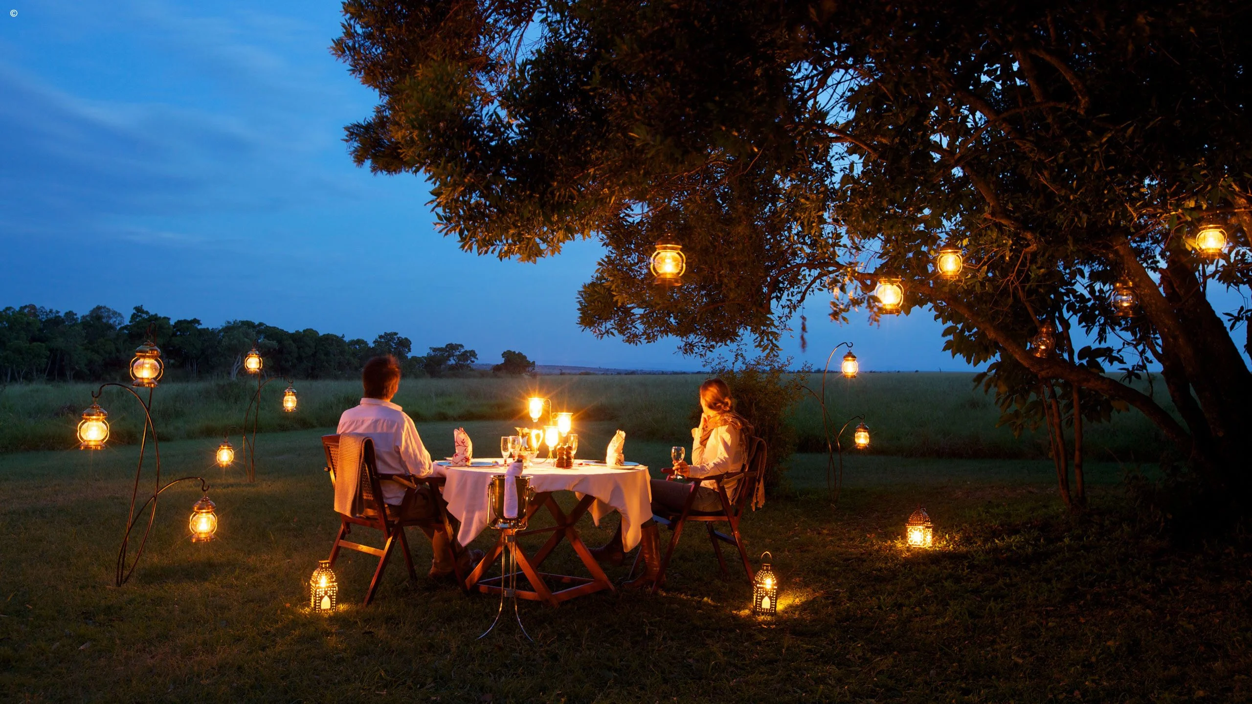 Dining under the Stars Embracing the Beauty of Outdoor Eating