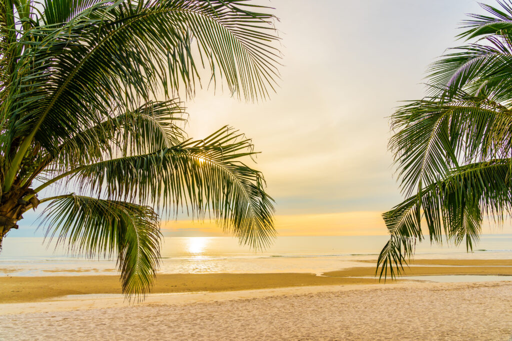 Exploring the Origins and History of Hawaiian Family Names