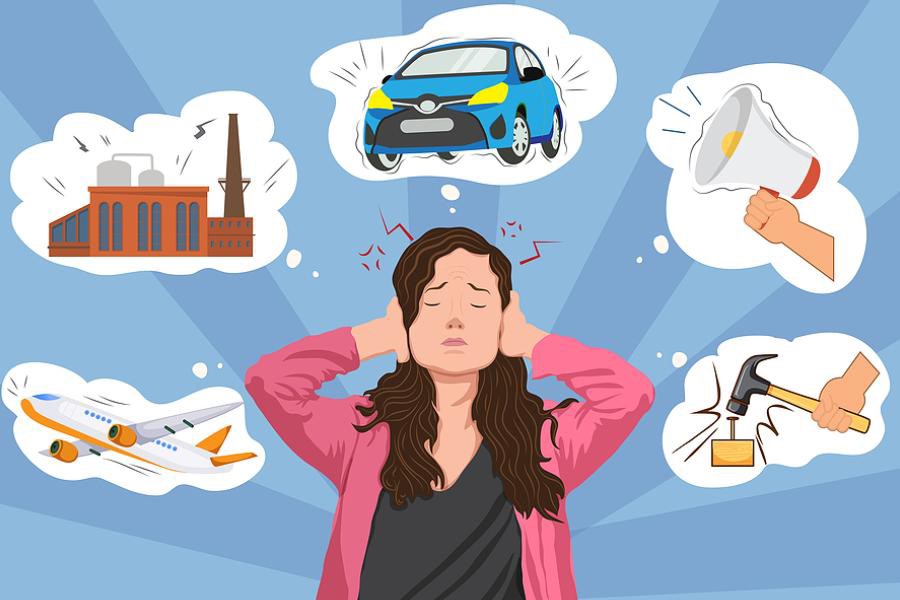 Understanding Noise Pollution