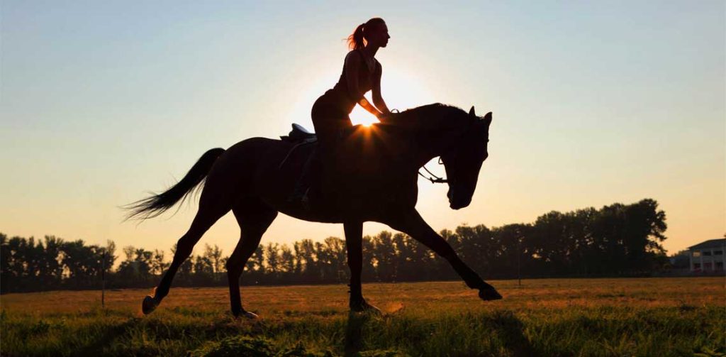 Horseback Riding