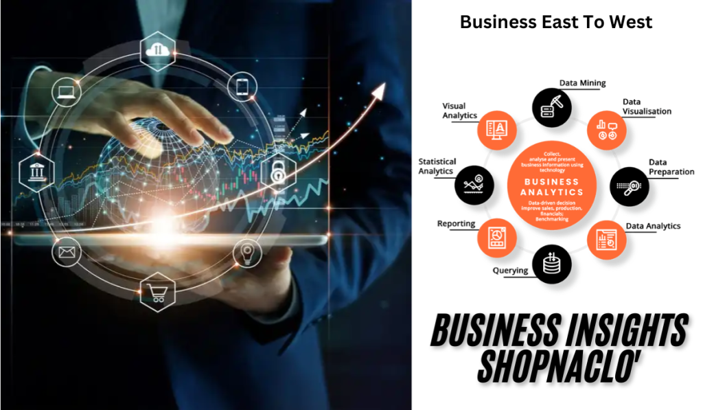 business insights shopnaclo
