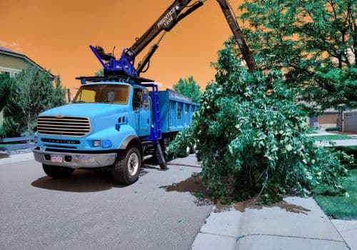 Role of Grapple Loaders