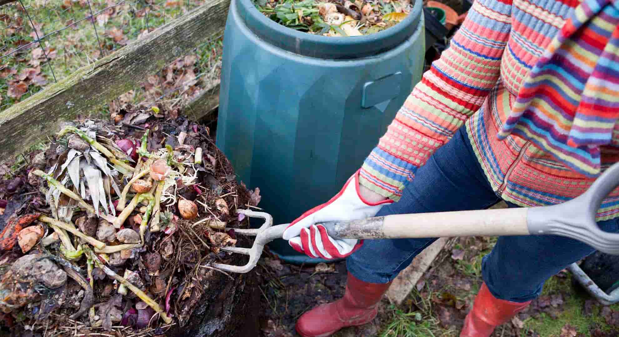 Composting at Home A Simple Way to Reduce Waste