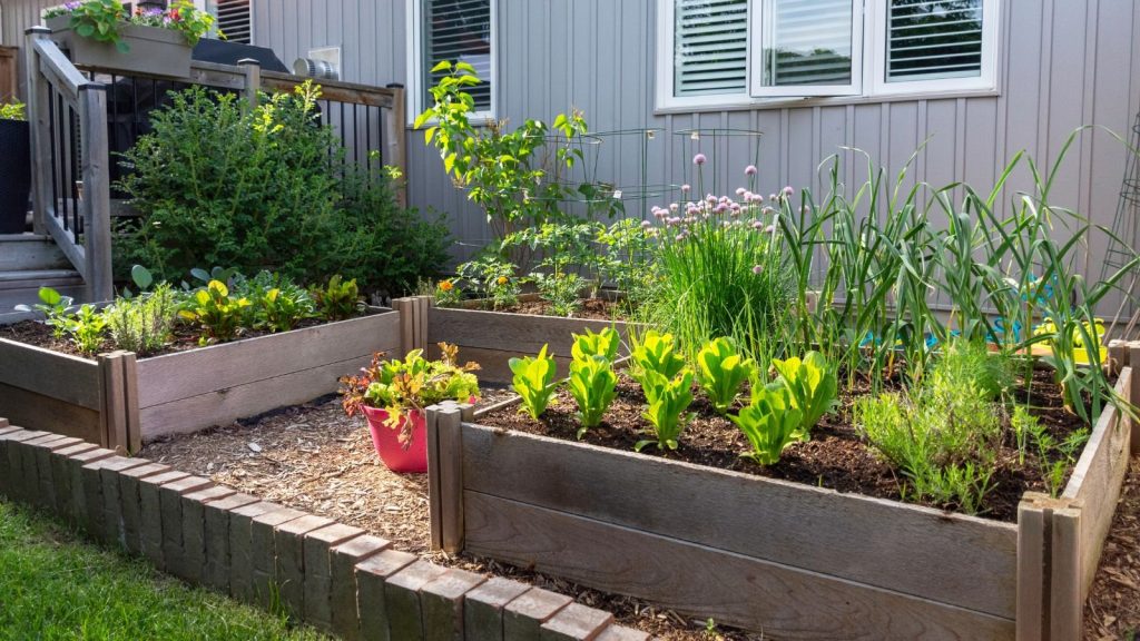Top 10 Items That Give the Best Growth Bonuses in Grow a Garden