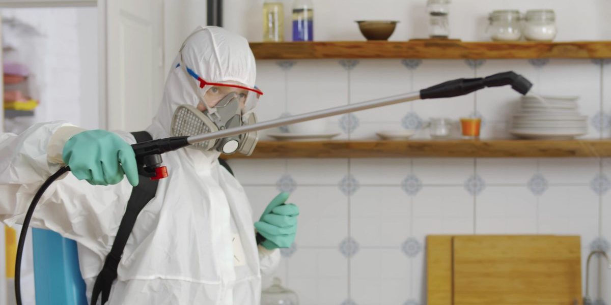 Inside the World of Commercial Pest Control