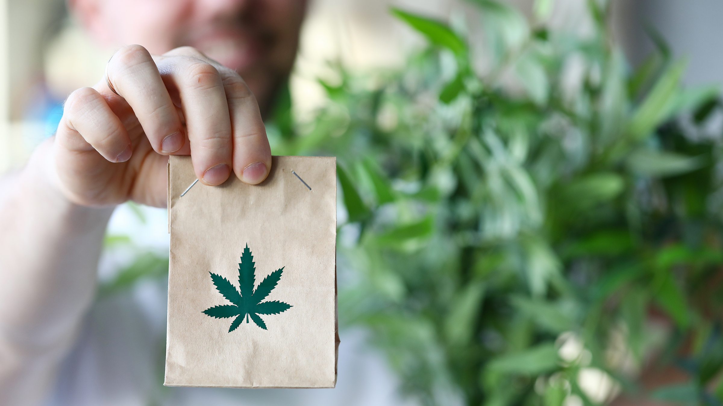 Choosing the Best Cannabis Dispensary in Your Area